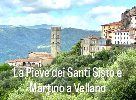 Vellano 32 Vellano 31