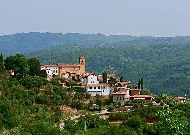 Monte a Pescia 1 monte a pescia